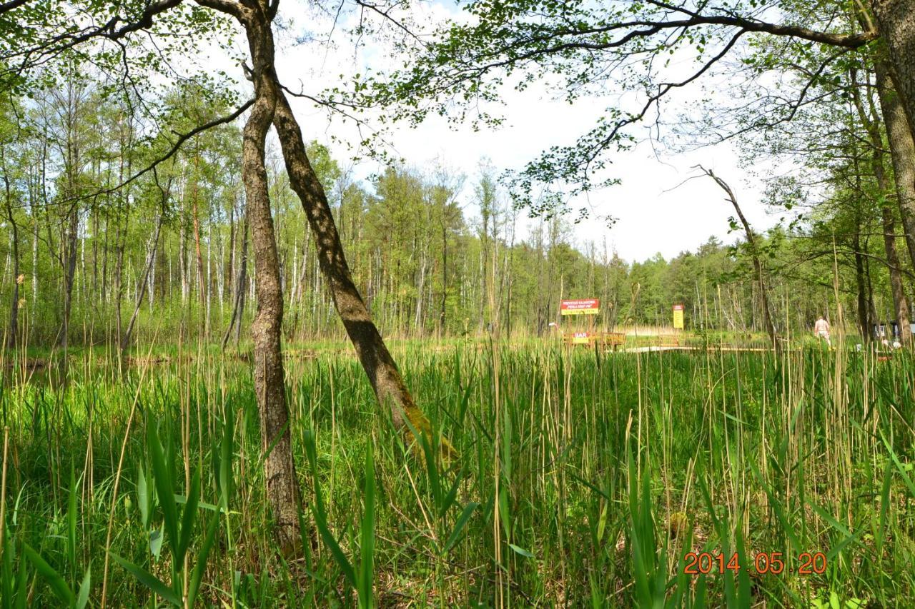 Hotel Osrodek Wypoczynkowo-Turystyczny Perla Krutyni Nowy Most Exteriér fotografie