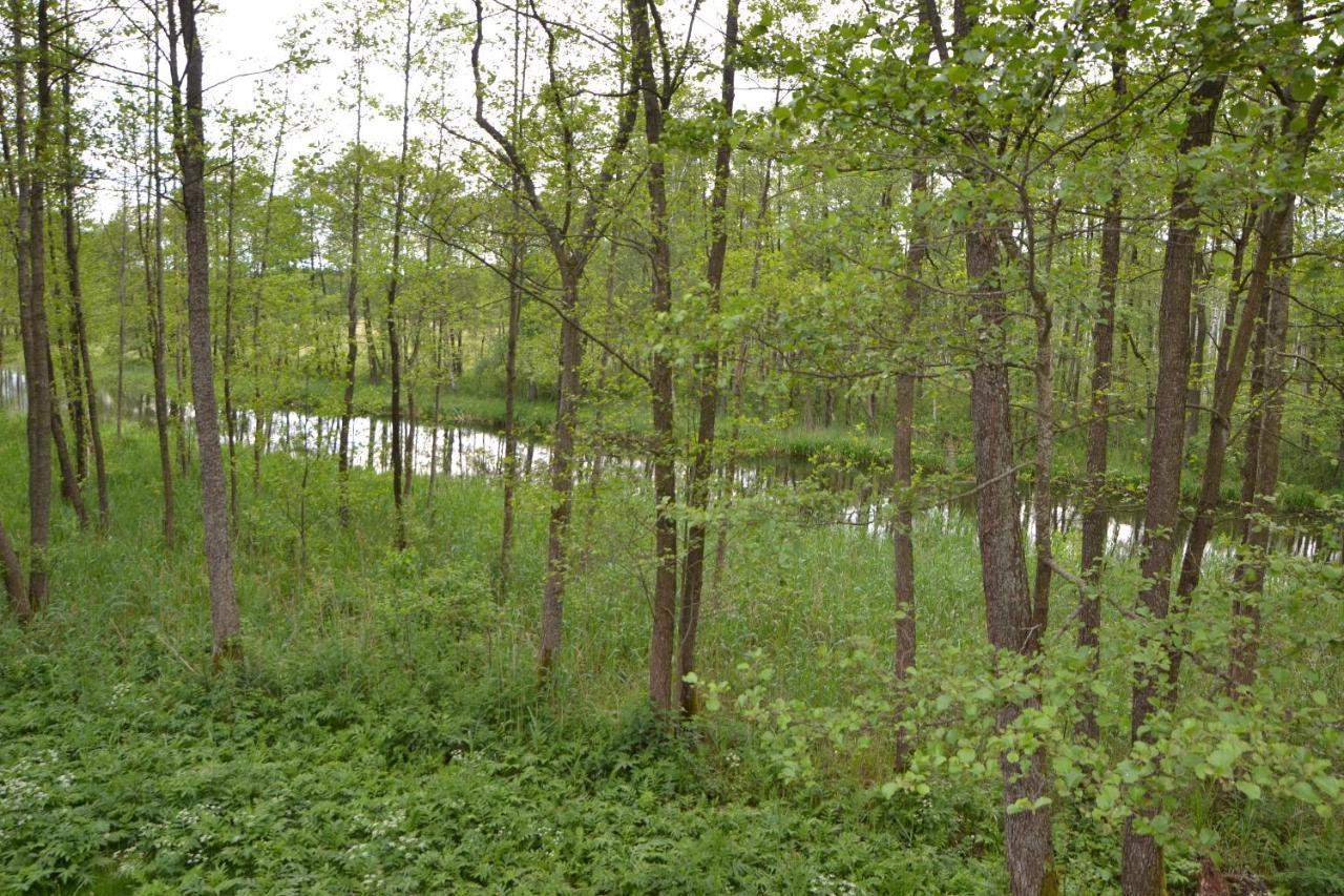 Hotel Osrodek Wypoczynkowo-Turystyczny Perla Krutyni Nowy Most Exteriér fotografie